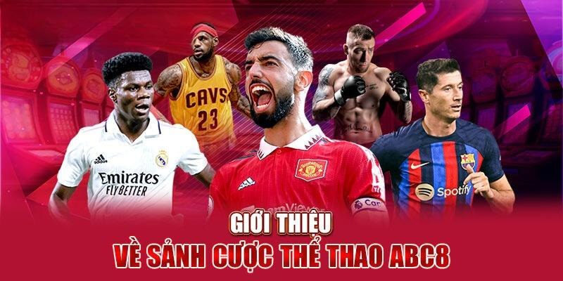 Giới Thiệu Nhà Cái ABC8 - Website Cá Cược Hợp Thị Hiếu Châu Á Dịch vụ cá độ thể thao gây bão