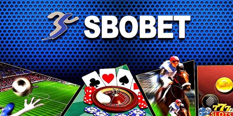 SBO Thể Thao - Sảnh Cá Cược Chuyên Nghiệp Uy Tín Nhất 2024 Tìm hiểu về sảnh cược SBO Thể Thao